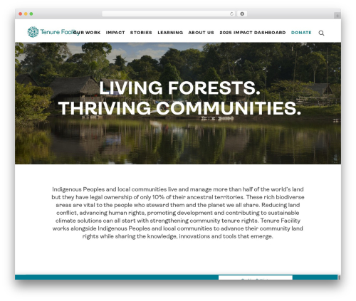 WordPress theme Default - thetenurefacility.org