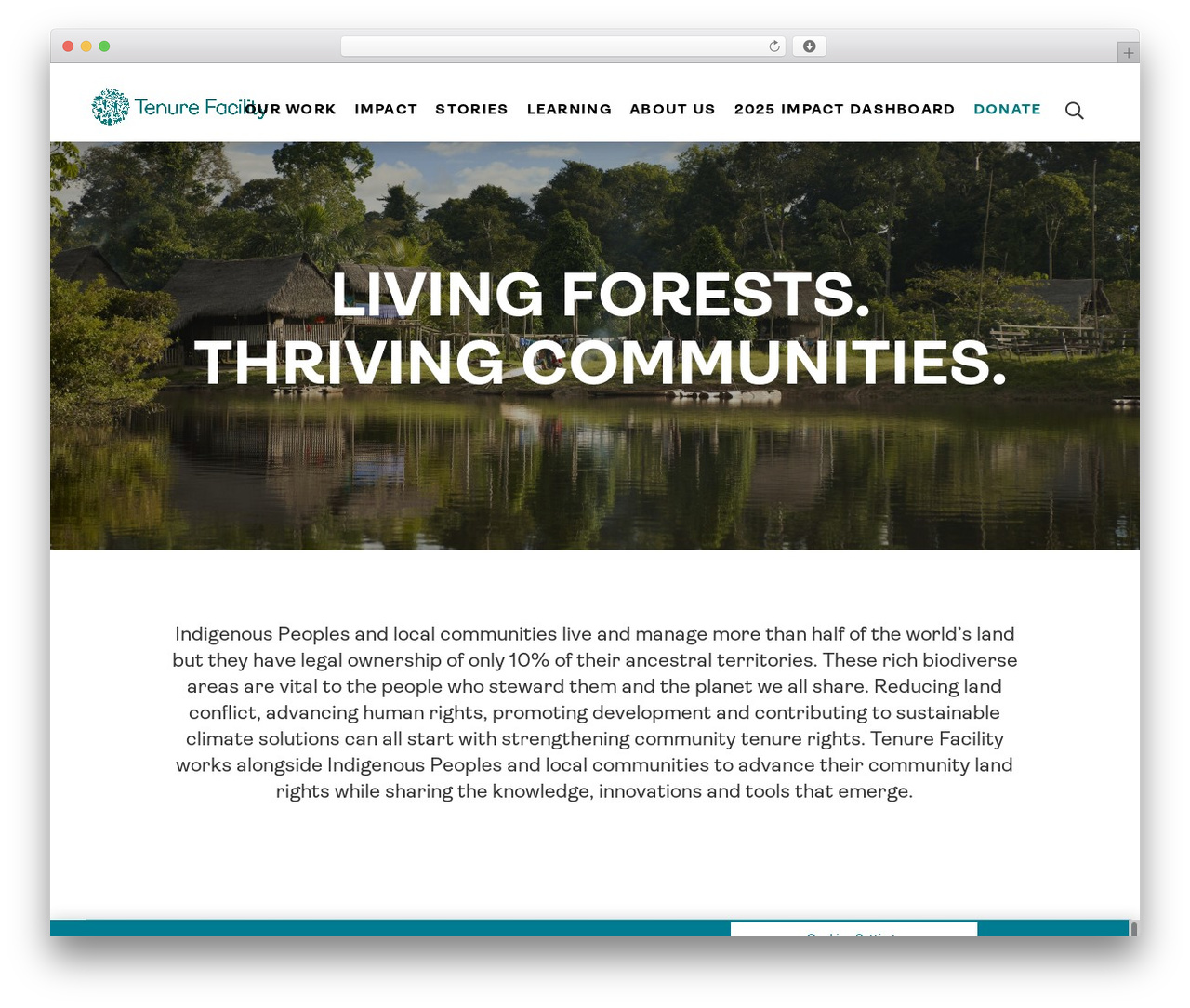 WordPress theme Default - thetenurefacility.org