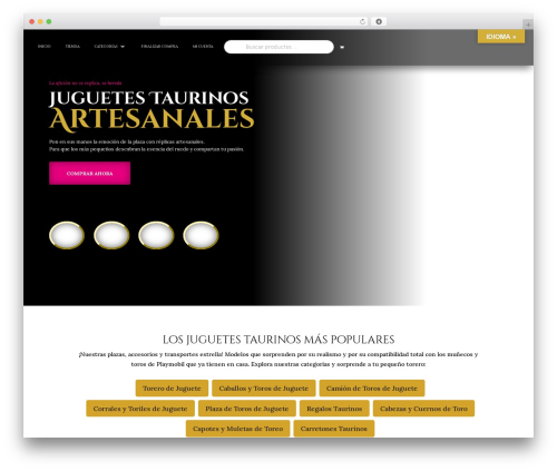 Conecta6 WordPress theme - grupoambients.com