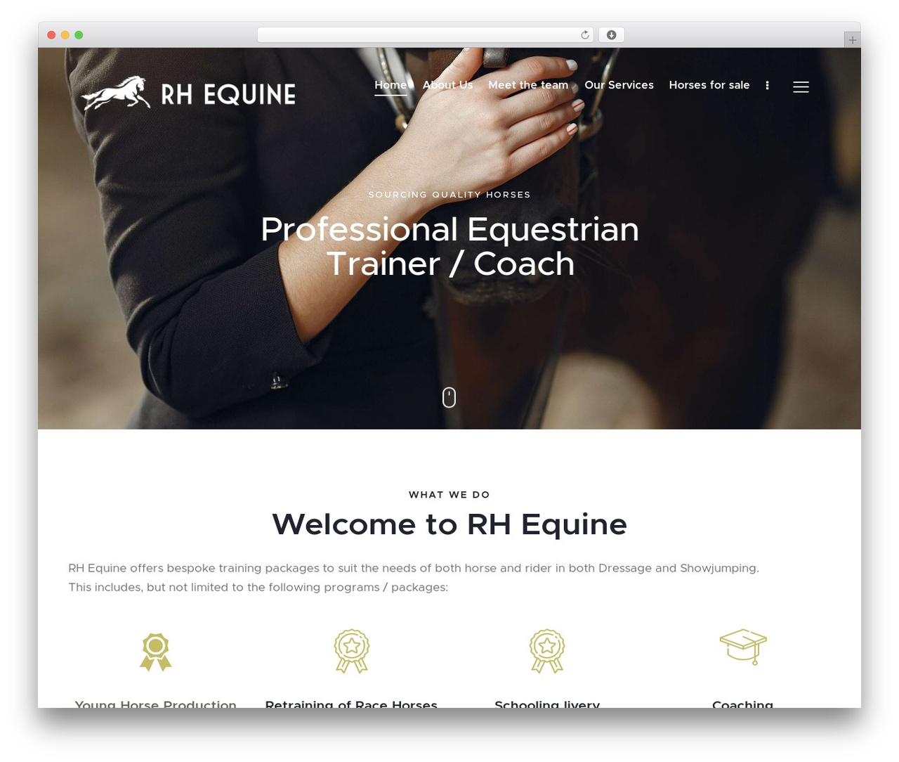 Learnify Child Theme WordPress theme - rhequine.com Learnify Child Theme WordPress theme - rhequine.com