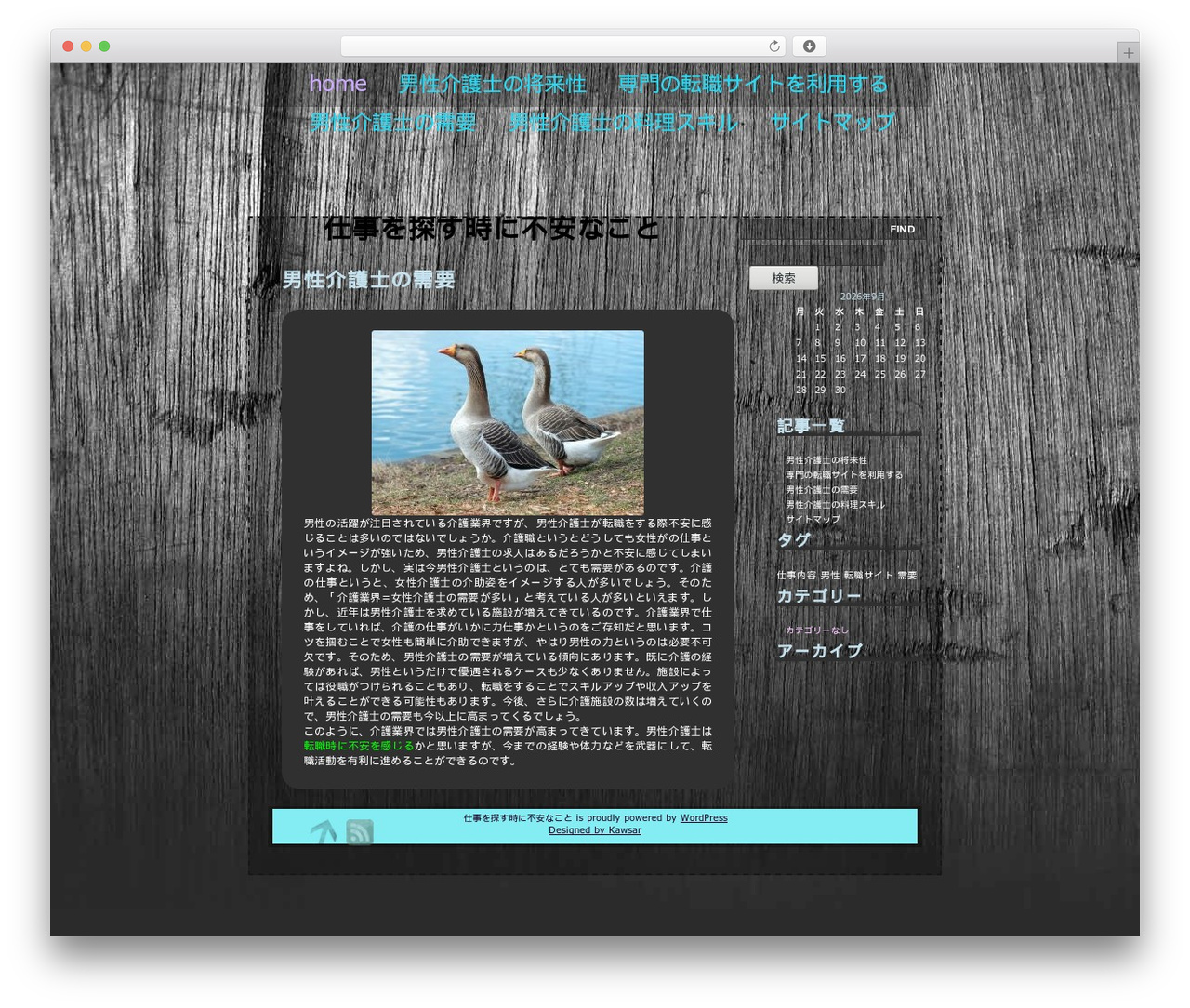 Pellucid Dashed WordPress theme - agropolska.net