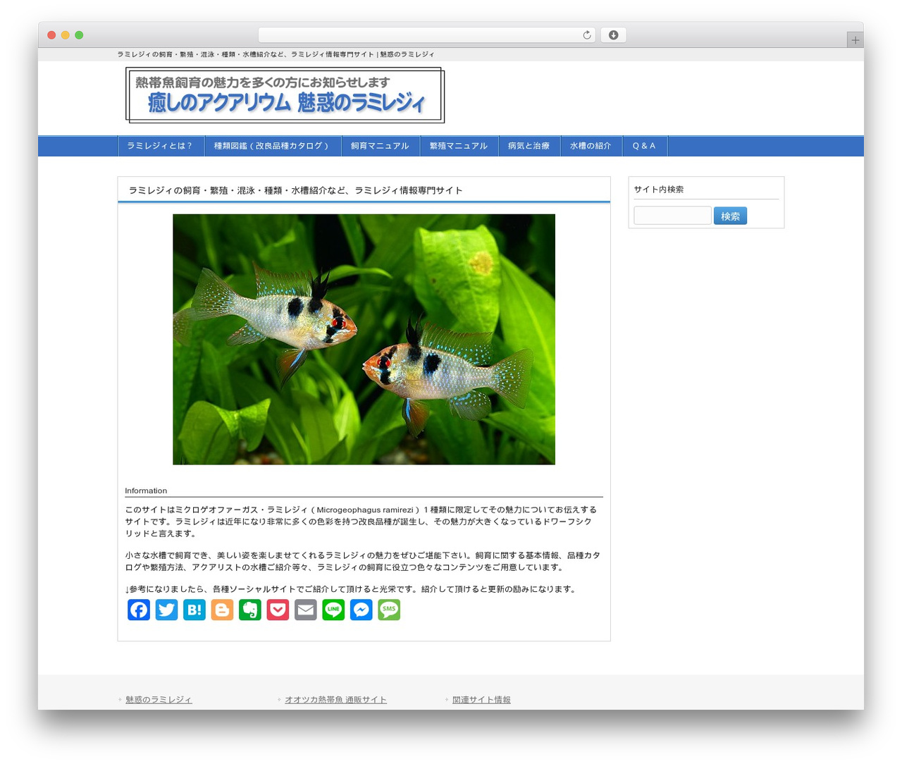 responsive_042 WordPress theme - ramirezi-world.net responsive_042 WordPress theme - ramirezi-world.net