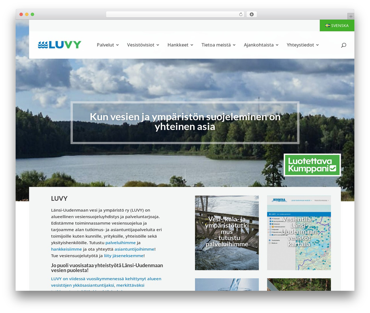 WP theme Divi - luvy.fi WP theme Divi - luvy.fi