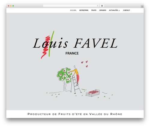 WP theme Divi - louisfavel.com