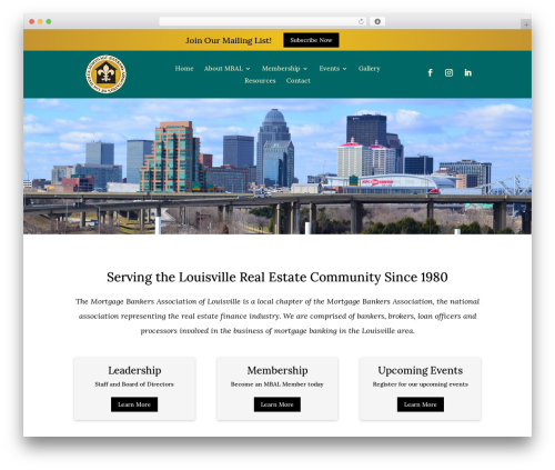 WordPress theme Divi - mbalou.org