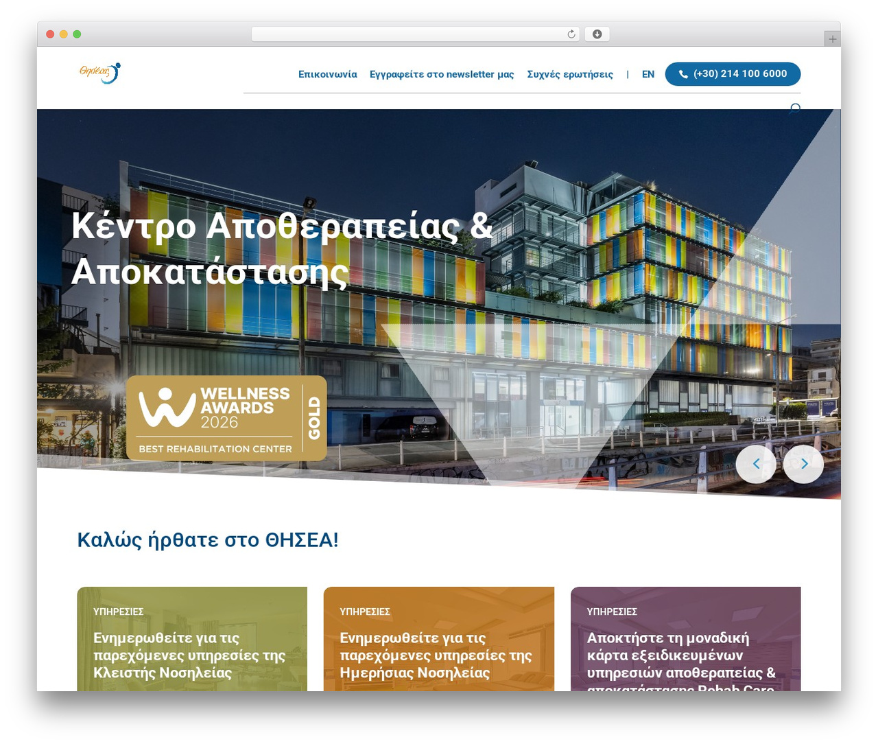 WordPress theme Divi - www.theseusrehab.gr
