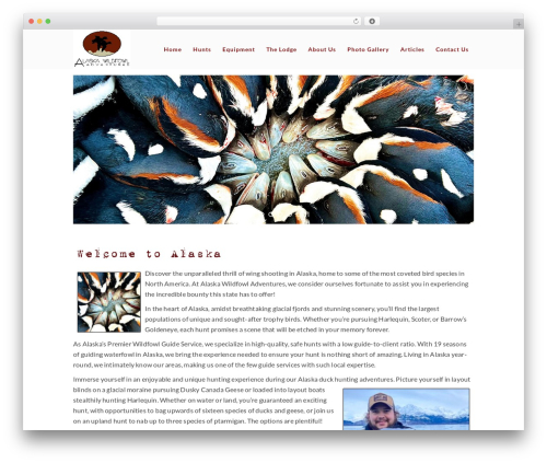 Benri theme WordPress - akduckhunts.com