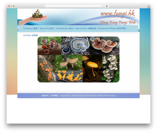 Best WordPress theme Striking MultiFlex & Ecommerce Responsive WordPress Theme - fungi.hk