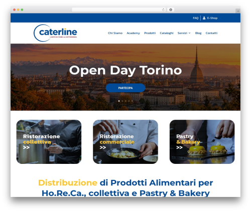 Divi enhancer pro WordPress plugin - caterlinespa.it