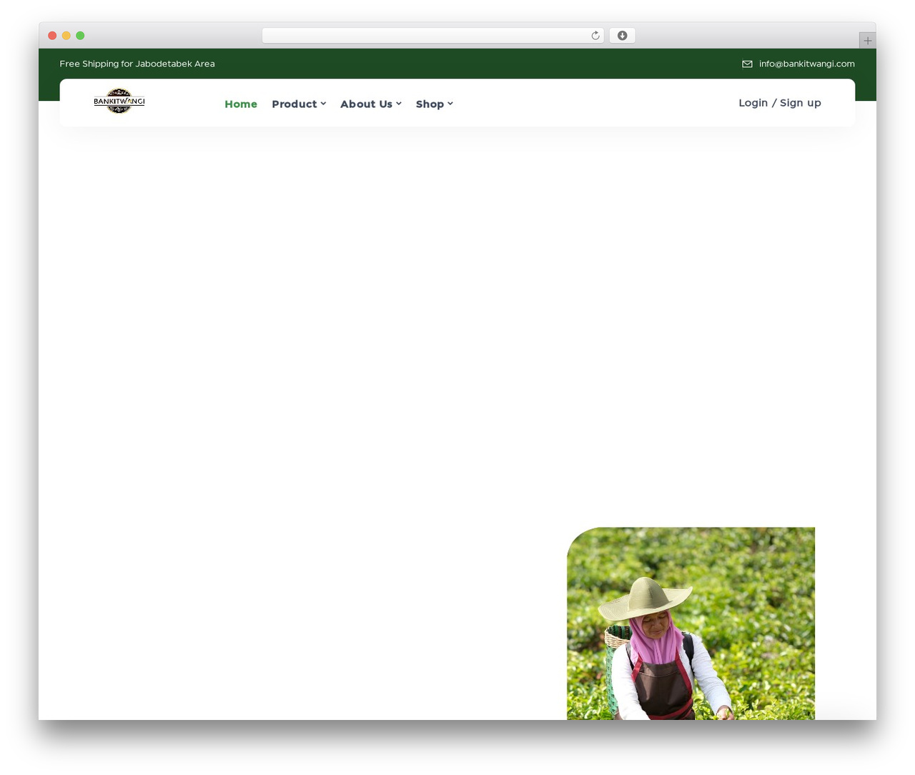 Econis WordPress theme - bankitwangi.com Econis WordPress theme - bankitwangi.com