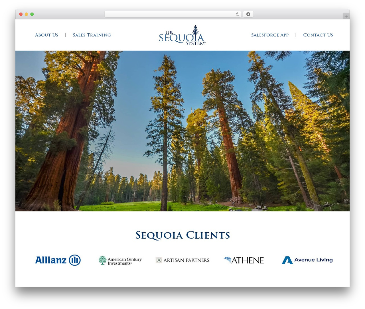 Sequoia theme WordPress - sequoiasystem.com