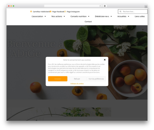 Timelineelementor WordPress plugin - adige.ch