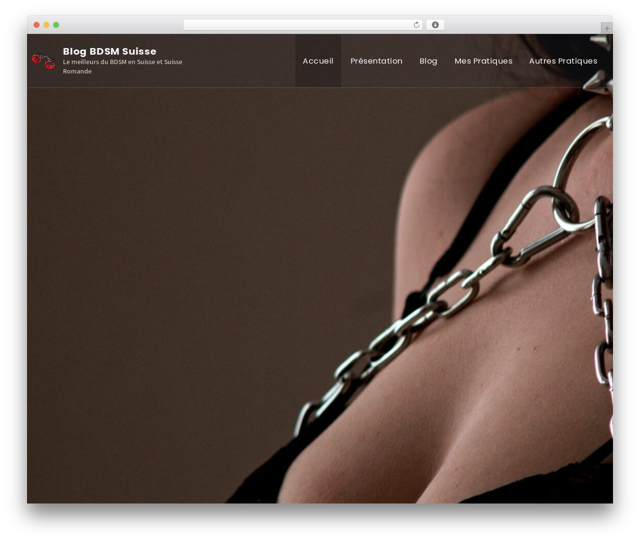 Influencer WordPress theme - blogbdsm.ch