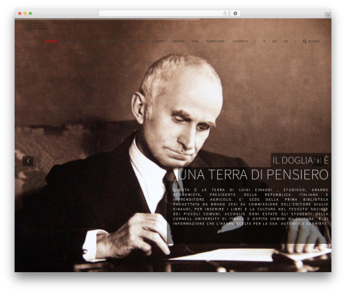 Massive WordPress theme - ildogliani.com