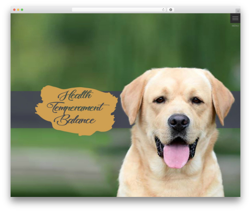 Nimva theme WordPress - capronca-labrador.com