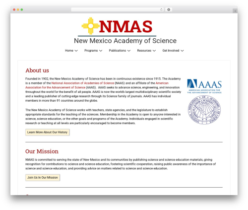 Companion elementor WordPress plugin - nmas.org