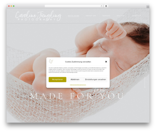 Solene core WordPress plugin - carolinejuengling.com