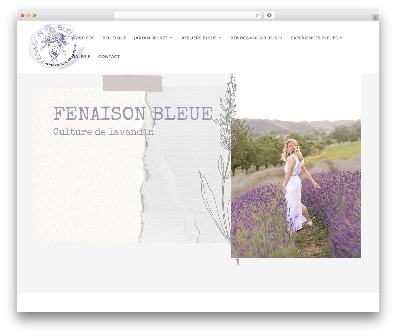 WordPress theme Divi - fenaisonbleue.ch WordPress theme Divi - fenaisonbleue.ch
