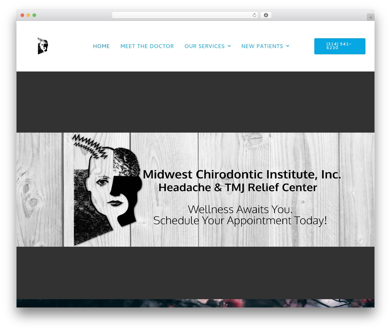 WordPress theme Exponent - mwcdi.com WordPress theme Exponent - mwcdi.com