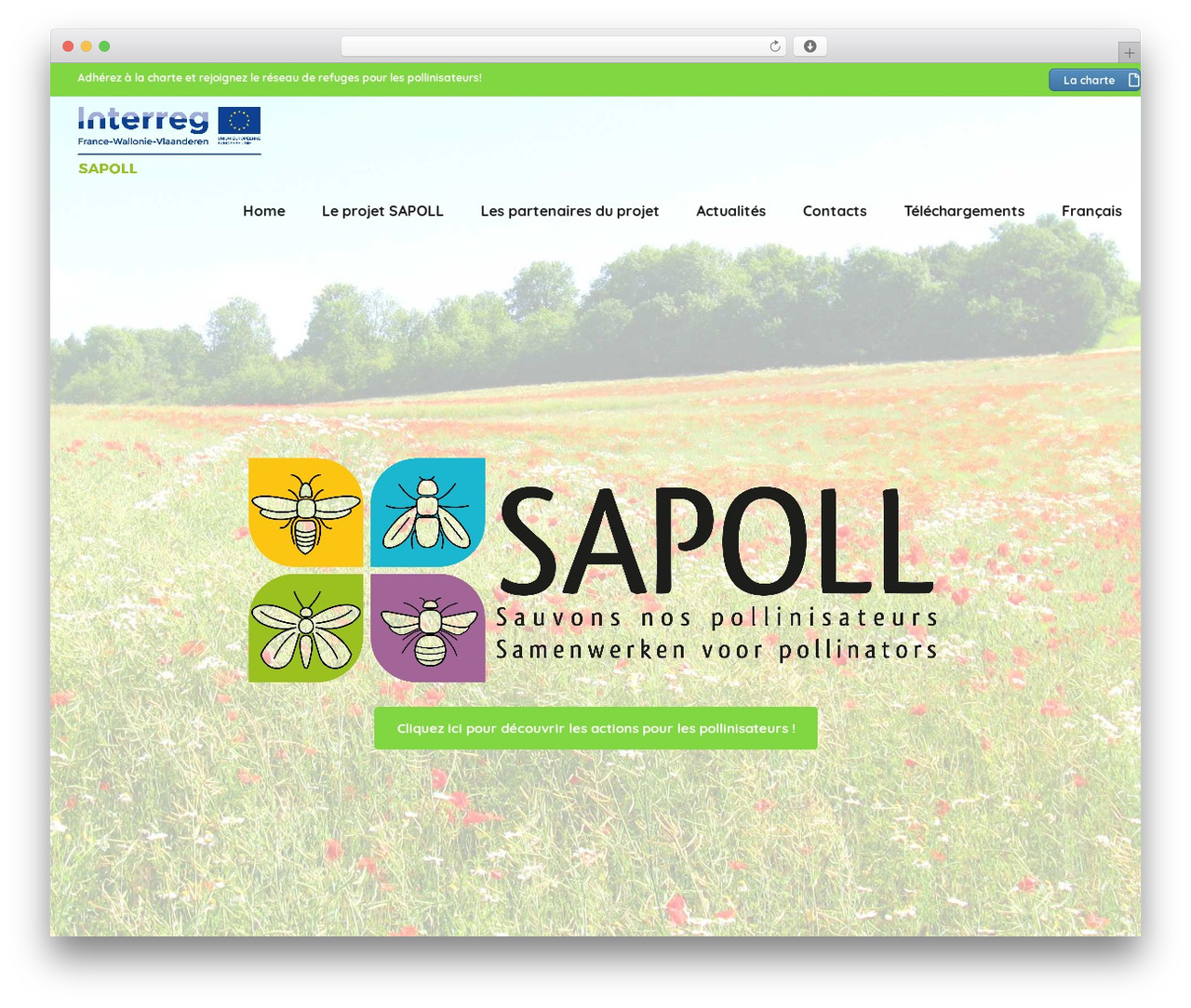 WordPress theme Sensible Pro 2.0 - sapoll.eu WordPress theme Sensible Pro 2.0 - sapoll.eu