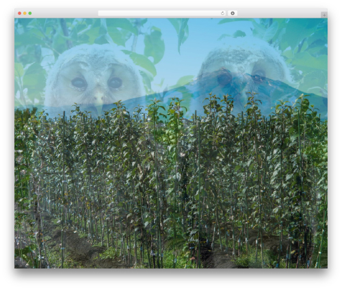 WordPress website theme Harada - haradasyubyo.jp