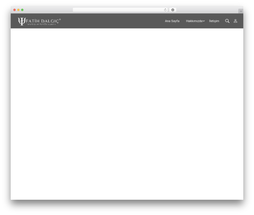 Tp portfolio WordPress plugin - fatihdalgic.com