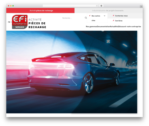 EFI WordPress theme - efi-service.com