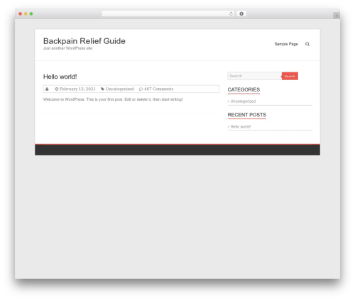 Esteem theme WordPress - back-pain-relief-guide.info