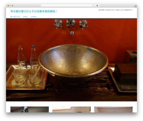 Liquid WordPress theme - turkmensani.net