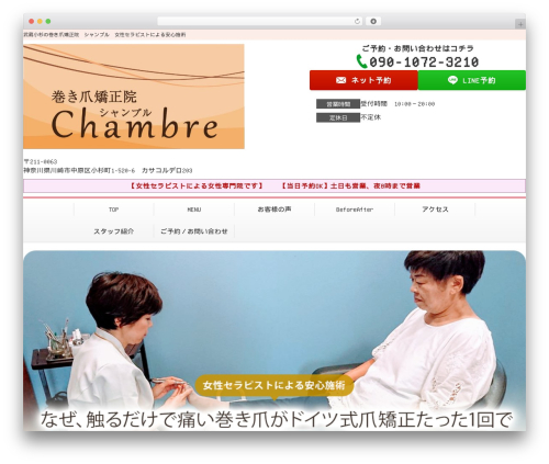 Selfull WordPress theme - chambre3210.com