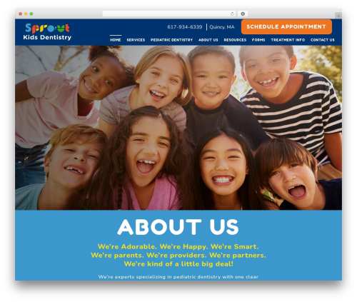 WP DLM FAQ (wp-dlm-faq) free WordPress plugin - sproutkidsdentistry.com