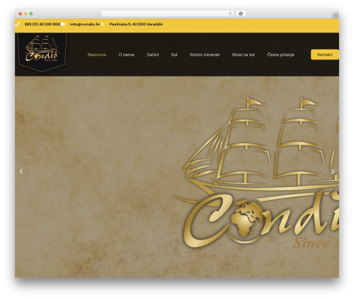Themex ppro elementor WordPress plugin - condio.hr
