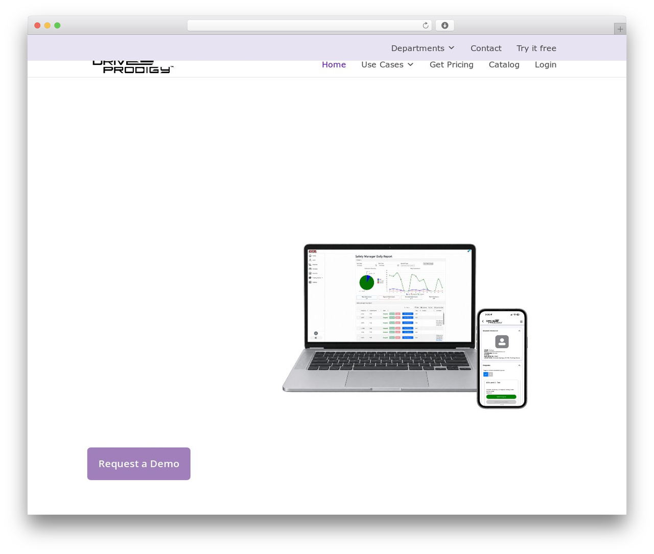 WordPress theme Divi - driveprodigy.com