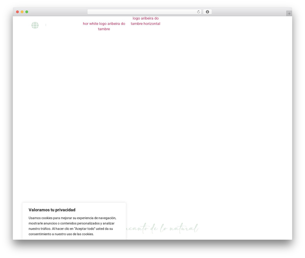 WordPress theme Hello Elementor - aribeiradotambre.com