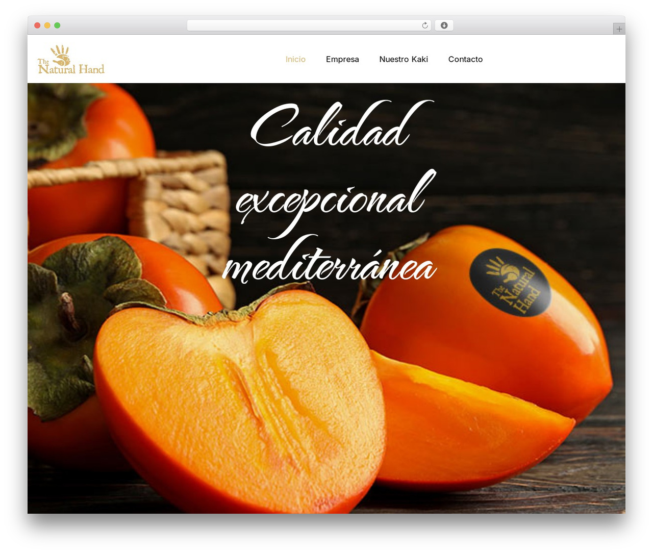 WP theme Hello Elementor - thenaturalhand.com