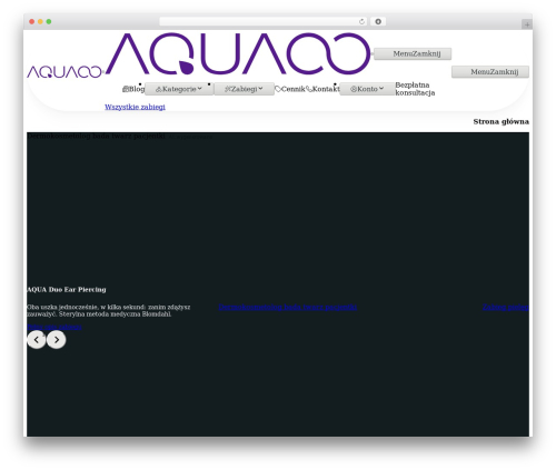 Etch Theme top WordPress theme - aquaoo.pl