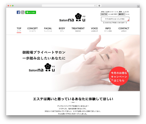 INFOSTAR_Theme WordPress theme - salonnatu.com