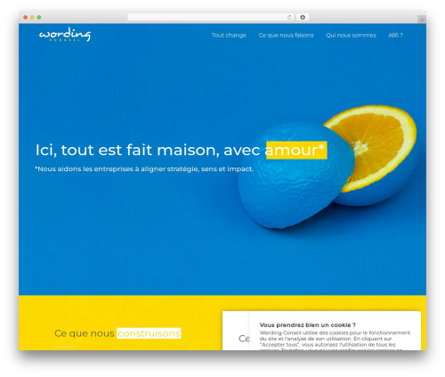 Skylar WordPress theme - wording-conseil.fr