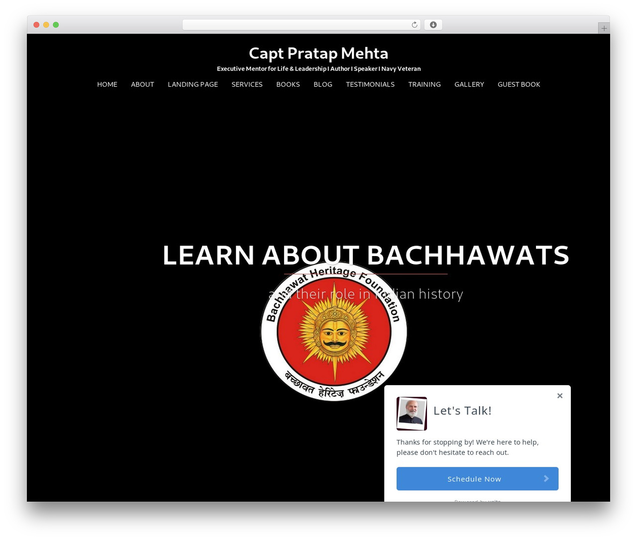 Sydney theme WordPress - pratapmehta.com