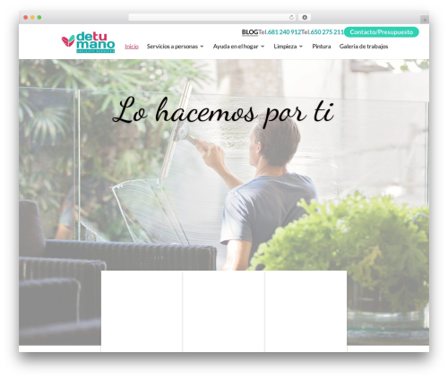 Theme WordPress Divi - detumanoservicios.es
