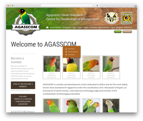 Theme WordPress Editor - agasscom.org