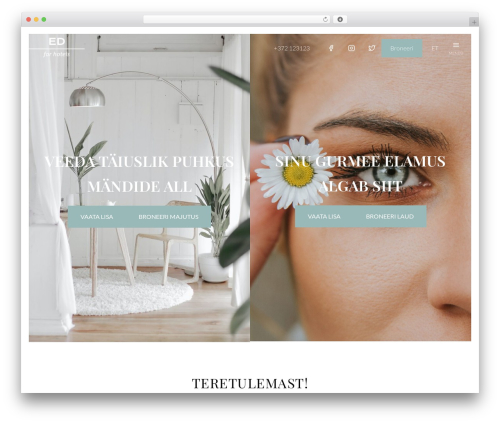 WordPress theme ED Hotels theme - gutenberg.edhotels.com