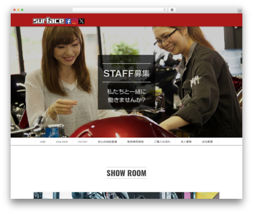 WordPress theme SCRN - surface-mc.net