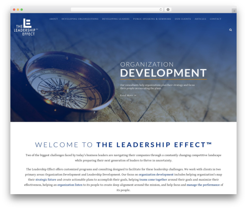 WordPress theme The Luxury - leadership-effect.com