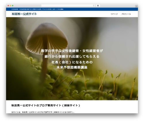 WordPress website theme SYN Ownd - super-success.net