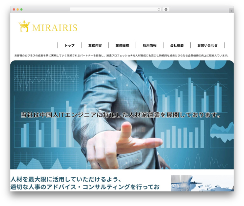 Block editor custom WordPress plugin - mirairis-haken.jp