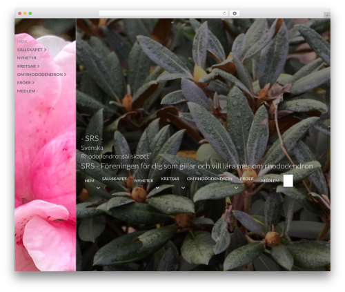 PowerPack Lite for Beaver Builder (powerpack-addon-for-beaver-builder) free WordPress plugin - rhododendron.se