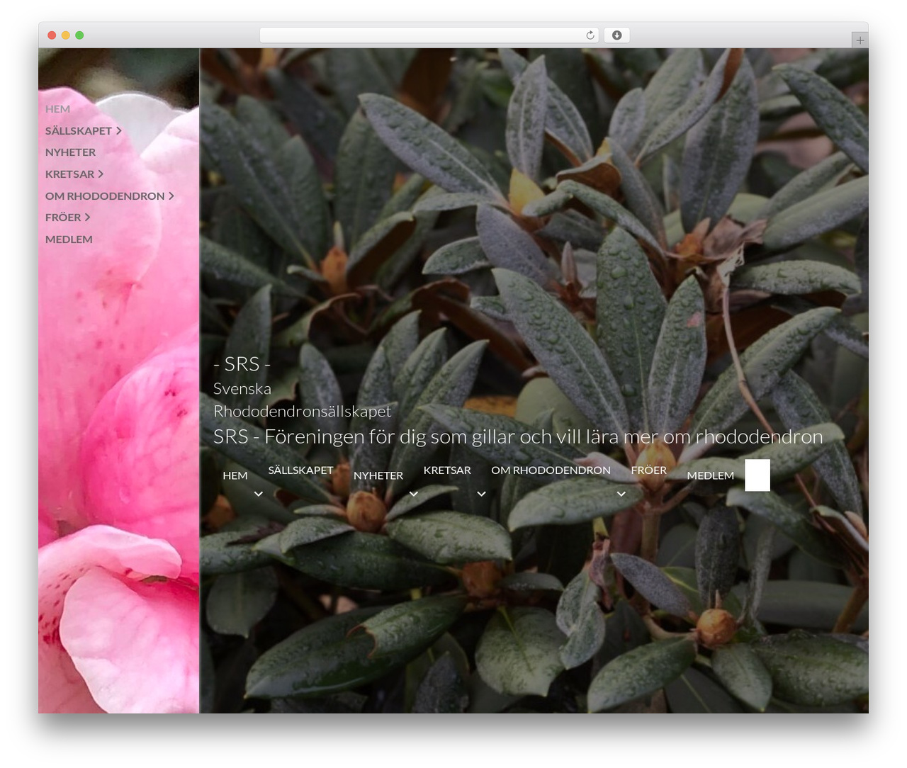 Beaver Builder Theme WordPress theme - rhododendron.se Beaver Builder Theme WordPress theme - rhododendron.se