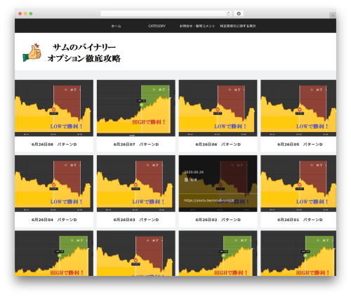 Best WordPress theme VIEW - otokudanet.net