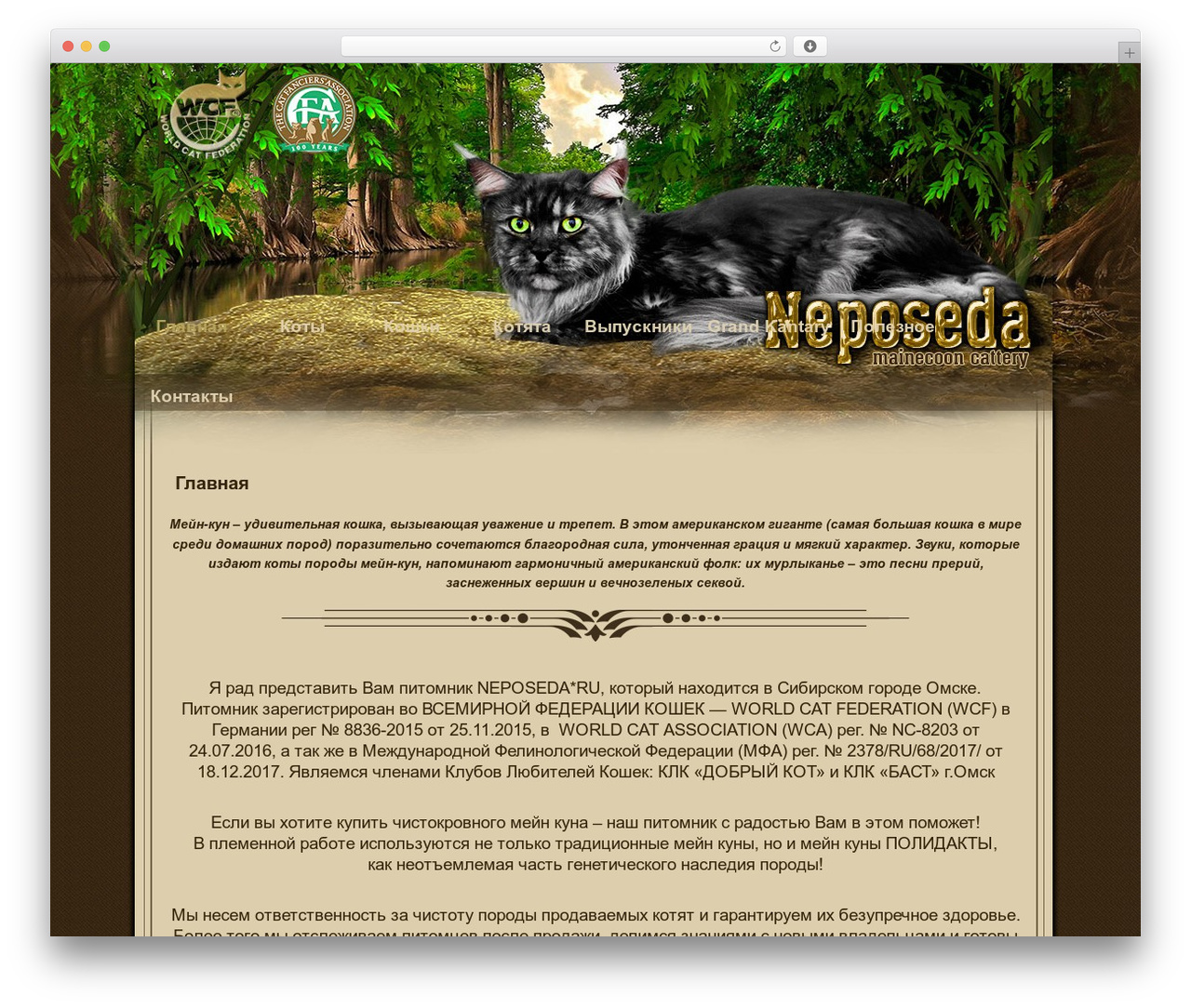 Constructor WordPress theme - neposedacattery.ru Constructor WordPress theme - neposedacattery.ru